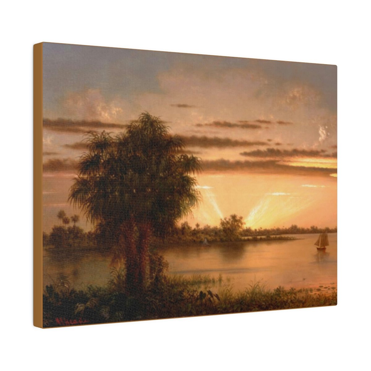 Florida Sunset - Image 6